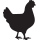 Chicken icon divider
